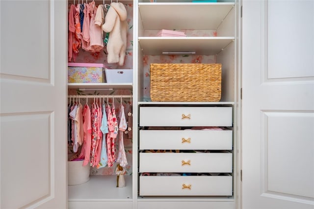 view of closet