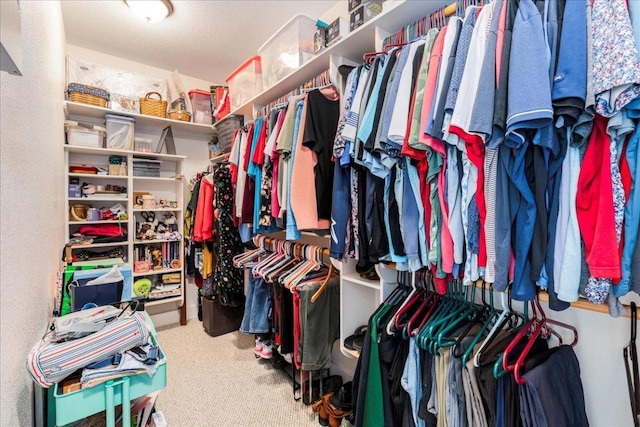 walk in closet featuring carpet floors