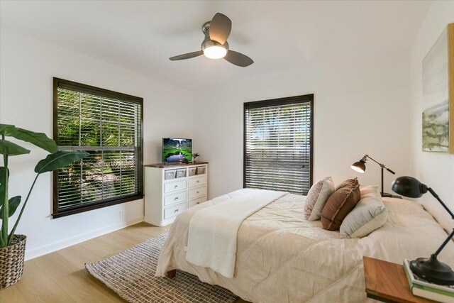 2410 Thornton Rd, Austin, TX 78704 - photo 14