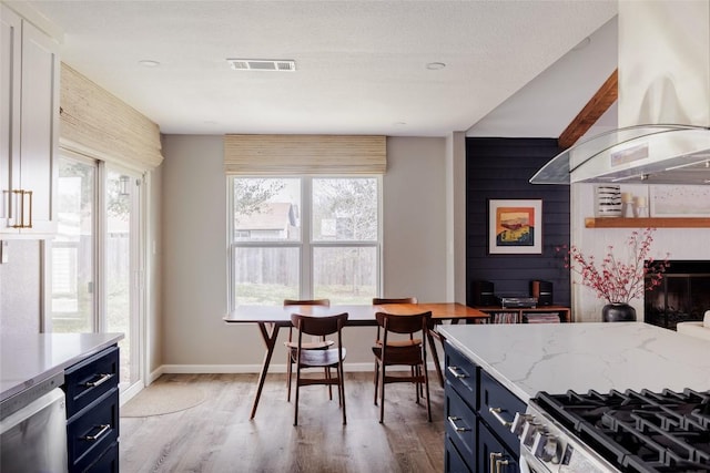 kitchen with island range hood, blue cabinetry, light wood-style flooring, and a wealth of natural light