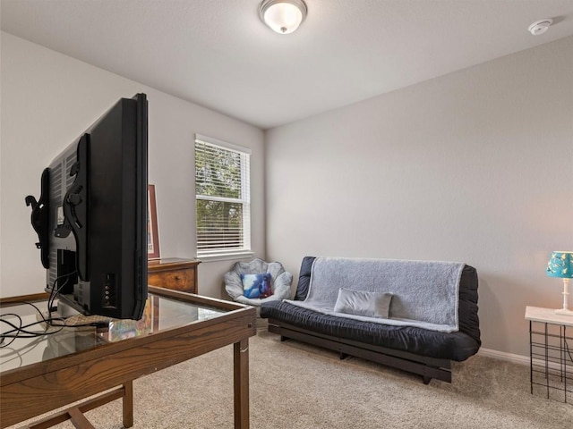 4104 Porter Farm Rd, Georgetown, TX 78628 - office area featuring carpet floors and baseboards