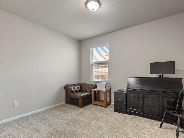 4104 Porter Farm Rd, Georgetown, TX 78628 - office with baseboards, a textured ceiling, and light colored carpet