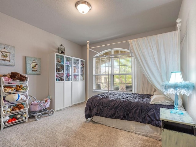 4104 Porter Farm Rd, Georgetown, TX 78628 - bedroom featuring carpet floors