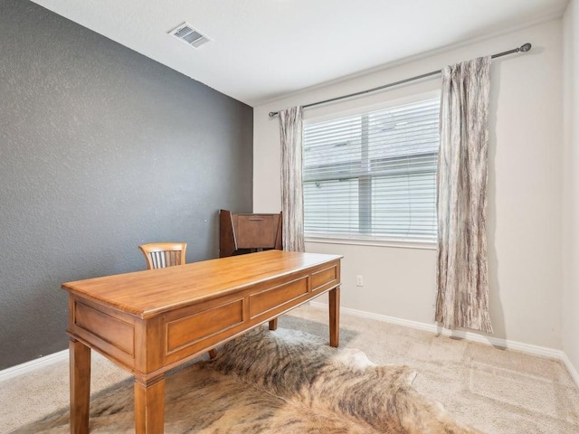 709 Bluffview Dr, Bastrop, TX 78602 - carpeted office featuring baseboards
