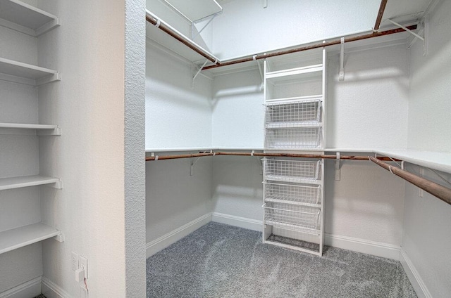 5617 Rio Chama Cv, Austin, TX 78738 - walk in closet featuring carpet
