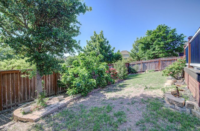 5617 Rio Chama Cv, Austin, TX 78738 - view of yard