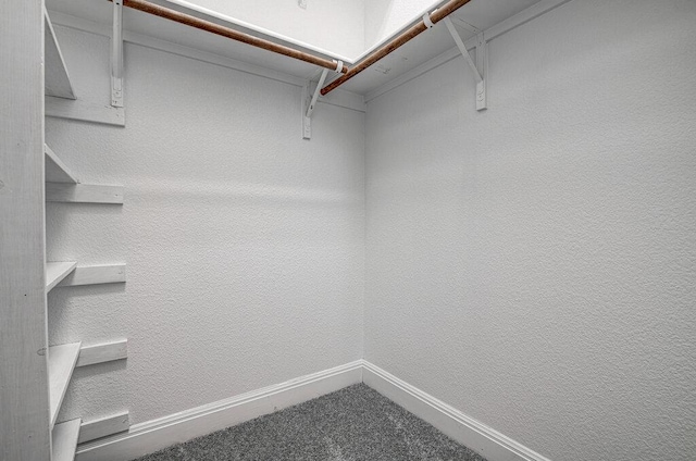 5617 Rio Chama Cv, Austin, TX 78738 - spacious closet with carpet