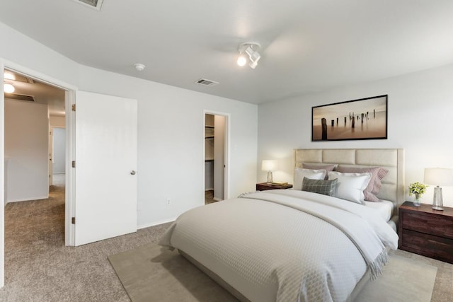 33 Verde Ranch Loop, Leander, TX 78641 - bedroom featuring carpet flooring and a walk in closet