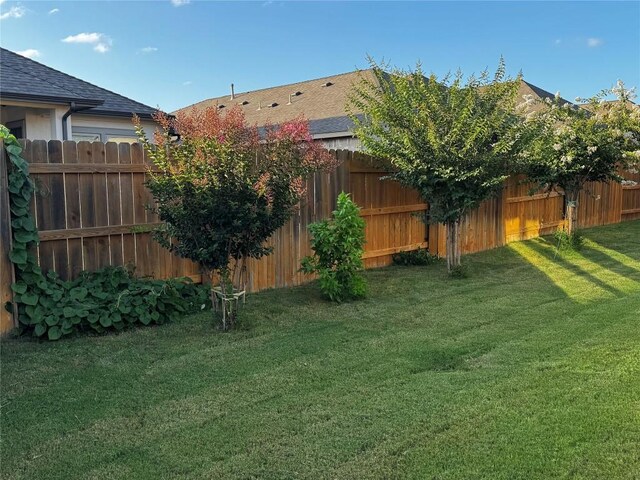 2021 Josiah Cv, Leander, TX 78641 - photo 40
