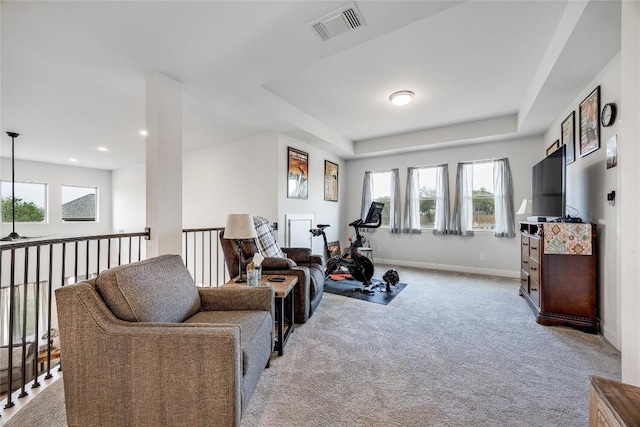 104 Trans Pecos Ct, Georgetown, TX 78628 - workout room with carpet flooring, recessed lighting, and a tray ceiling