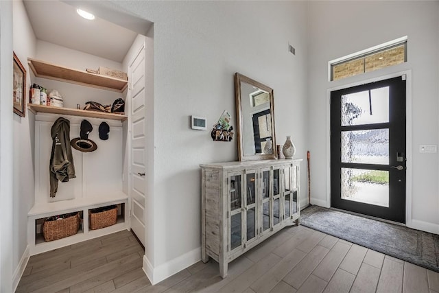 104 Trans Pecos Ct, Georgetown, TX 78628 - foyer entrance featuring wood finished floors and a high ceiling