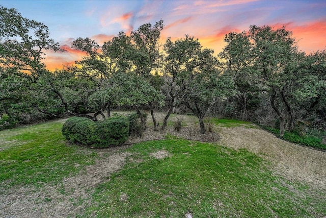 8001 Bell Mountain Dr, Austin, TX 78730 - yard at dusk featuring a yard