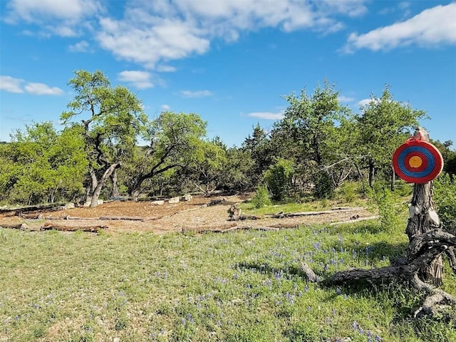 4005 Skillet Cv, Spicewood, TX 78669 - photo 29
