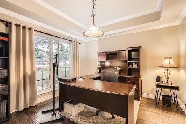 706 Belmont Dr, Georgetown, TX 78626 - office area featuring a tray ceiling, wood finished floors, and ornamental molding