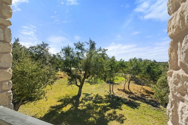 310 Saddle Blanket Dr, Dripping Springs, TX 78620 - photo 19