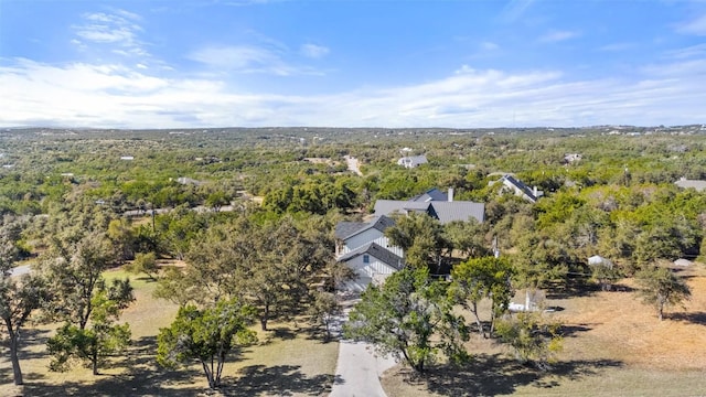 310 Saddle Blanket Dr, Dripping Springs, TX 78620 - photo 38