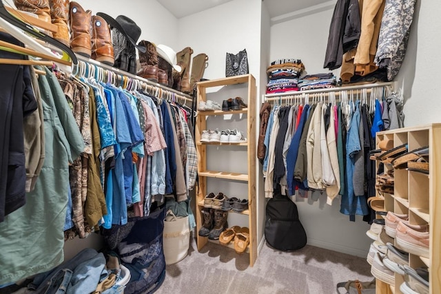 walk in closet with carpet floors