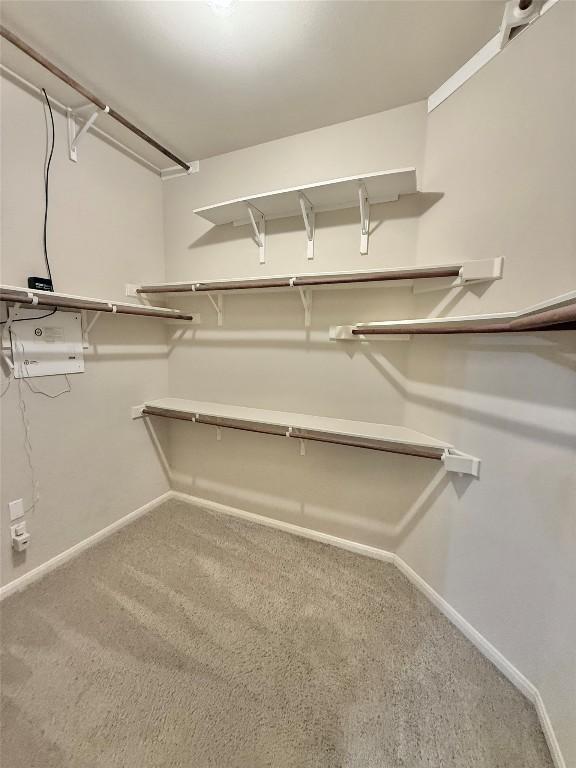 spacious closet featuring carpet flooring