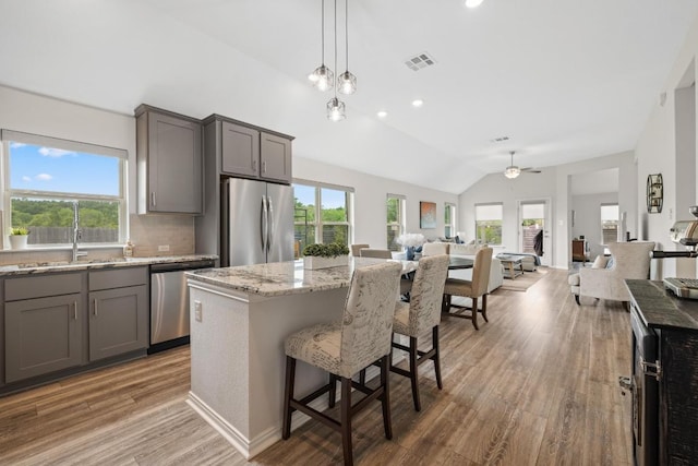 608 Roaming Dr, Hutto, TX 78634 - kitchen with appliances with stainless steel finishes, gray cabinets, open floor plan, vaulted ceiling, and light wood-style flooring