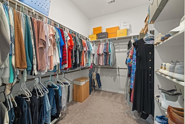 608 Roaming Dr, Hutto, TX 78634 - walk in closet featuring carpet flooring