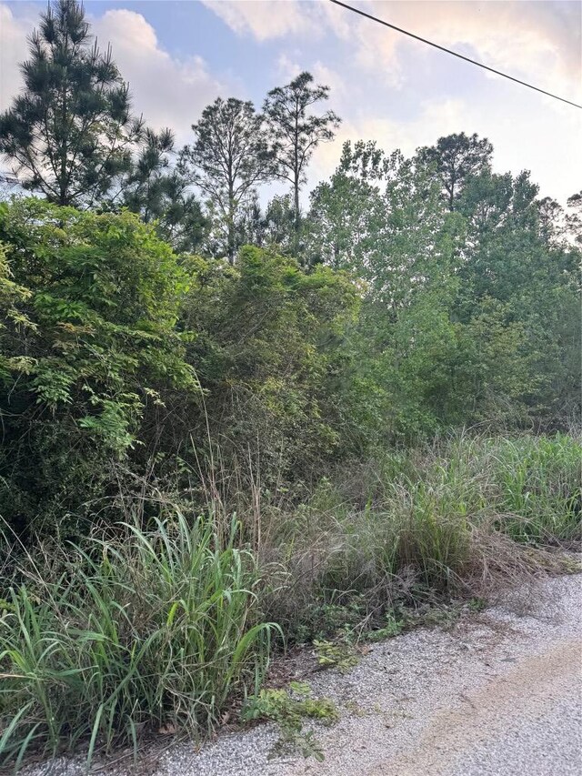 LOT1386 N Pahihi Dr, Bastrop, TX 78602 - photo 1