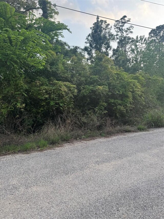 LOT1386 N Pahihi Dr, Bastrop, TX 78602 - photo 2