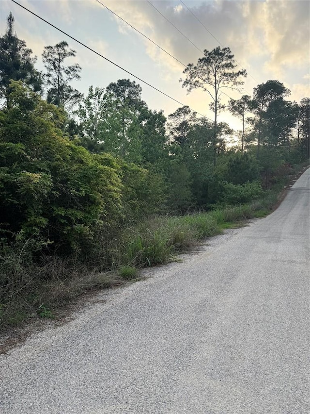 LOT1386 N Pahihi Dr, Bastrop, TX 78602 - photo 3