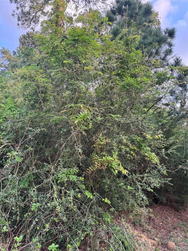 LOT1386 N Pahihi Dr, Bastrop, TX 78602 - photo 4