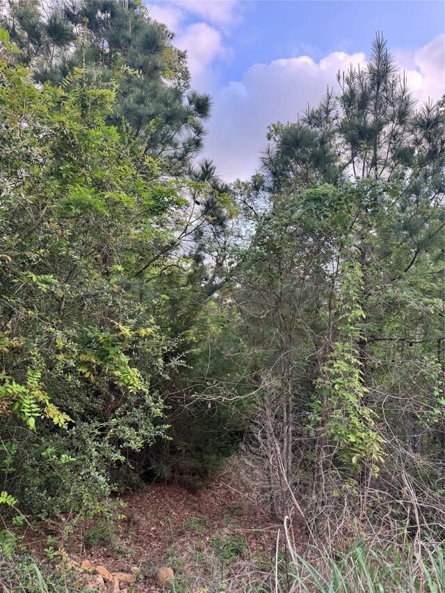 LOT1386 N Pahihi Dr, Bastrop, TX 78602 - photo 5