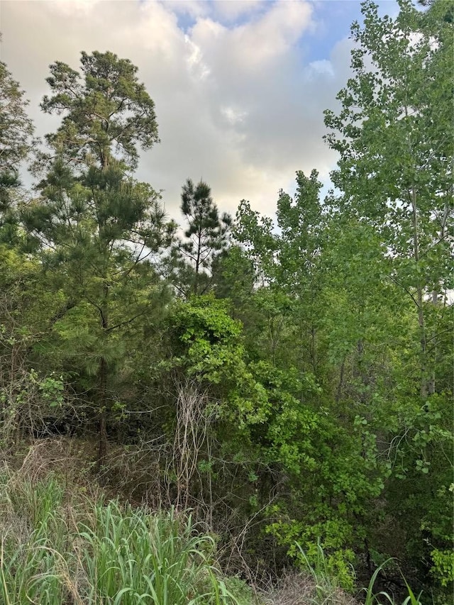 LOT1386 N Pahihi Dr, Bastrop, TX 78602 - photo 6