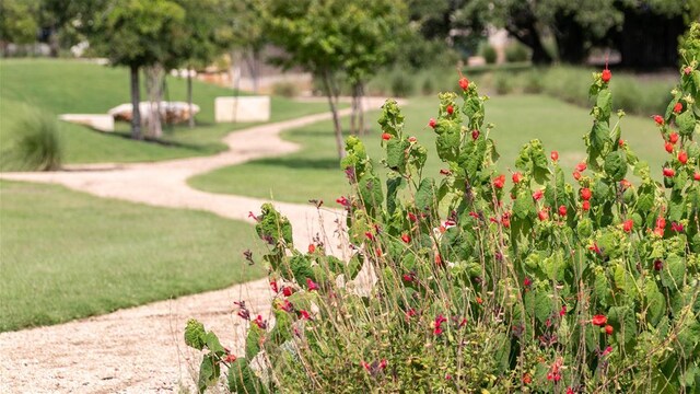 1525 Jolie Rose Bnd, Leander, TX 78641 - view of community featuring a yard
