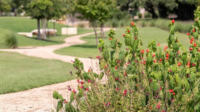 1525 Jolie Rose Bnd, Leander, TX 78641 - photo 7