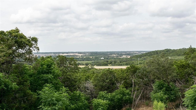1525 Jolie Rose Bnd, Leander, TX 78641 - photo 9