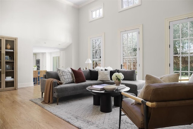 1904 Meadowbrook Dr, Austin, TX 78703 - living room with light wood finished floors, a high ceiling, ornamental molding, and baseboards