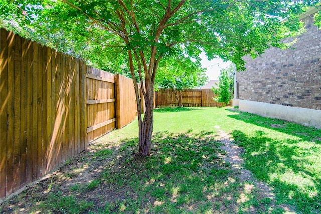 1150 Modoc Way, Kyle, TX 78640 - view of yard