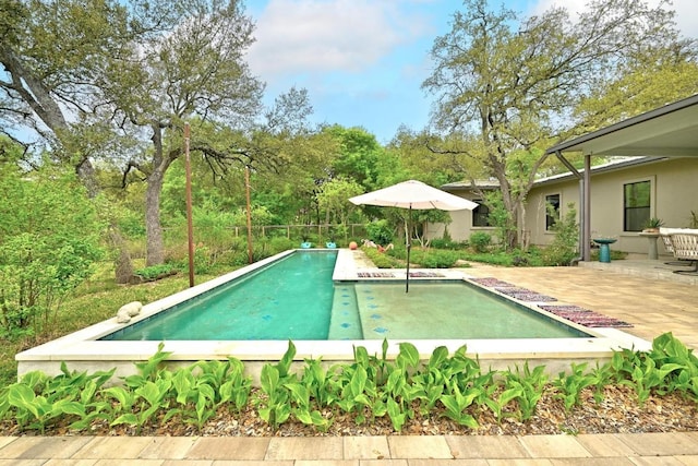 9206 Chisholm Ln, Austin, TX 78748 - view of pool