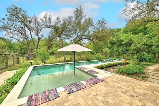 9206 Chisholm Ln, Austin, TX 78748 - view of swimming pool with a patio area and view of wooded area