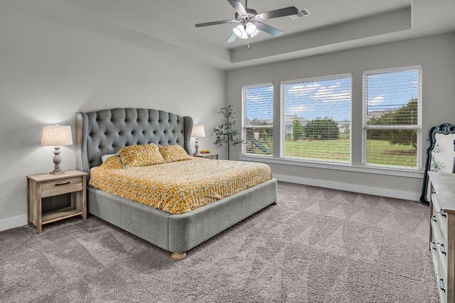 109 Spice Bush Spgs, Leander, TX 78641 - bedroom featuring a tray ceiling, carpet, baseboards, and a ceiling fan
