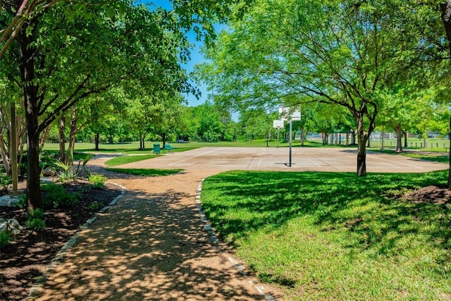 8410 Glen Canyon Dr, Round Rock, TX 78681 - view of property's community featuring a yard and community basketball court
