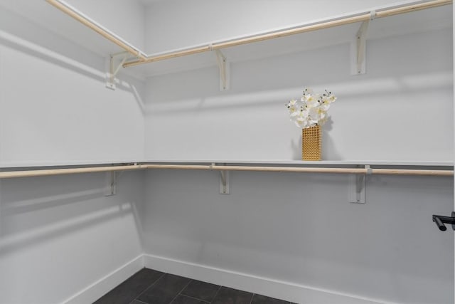 2220 Webberville Rd Unit 207, Austin, TX 78702 - spacious closet with dark tile patterned floors