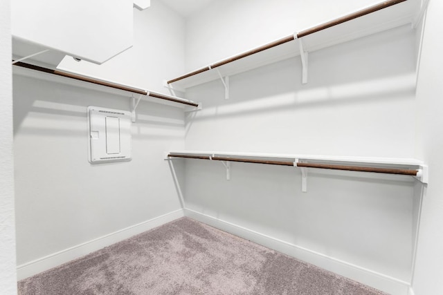 2201 Cento Walk Unit 70, Round Rock, TX 78664 - spacious closet featuring carpet floors and electric panel