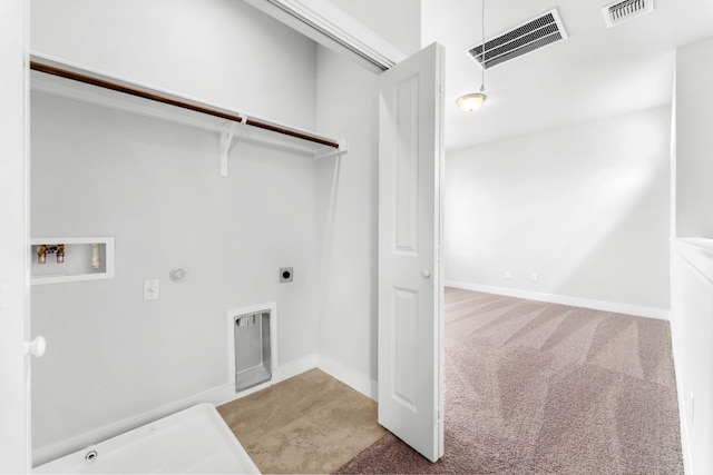 2201 Cento Walk Unit 70, Round Rock, TX 78664 - washroom featuring electric dryer hookup, hookup for a washing machine, hookup for a gas dryer, and carpet flooring