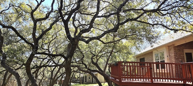 view of yard with a deck