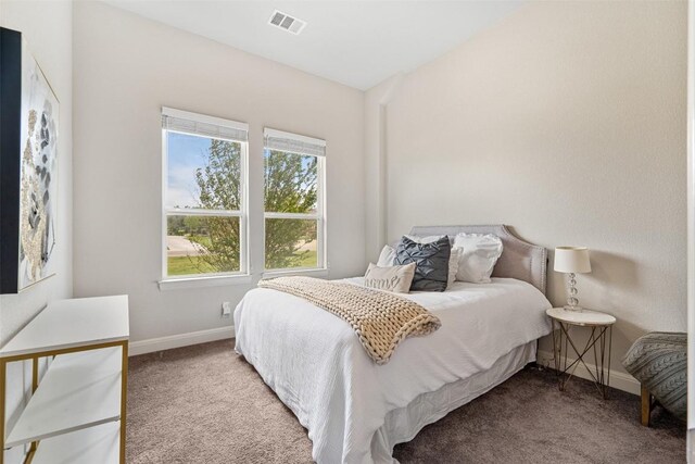 2421 High Lonesome, Leander, TX 78641 - photo 29