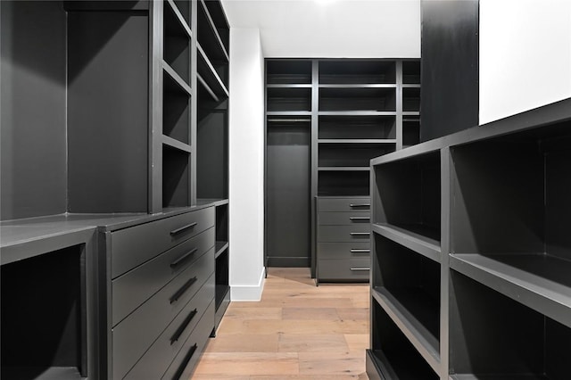 3004 Ray Wood Dr, Austin, TX 78704 - spacious closet featuring light wood finished floors