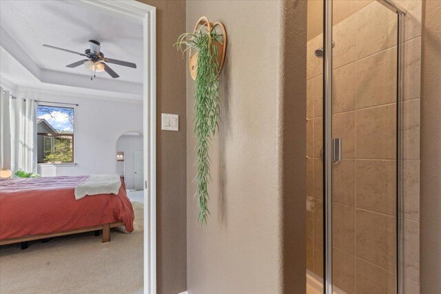 2608 Lightfoot Trl, Austin, TX 78745 - hall featuring carpet, arched walkways, and a tray ceiling