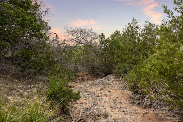 LOT45 Falling Oak Dr, Blanco, TX 78606