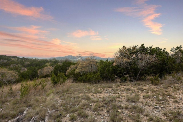 LOT45 Falling Oak Dr, Blanco, TX 78606