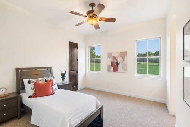 15086 Barrie Dr, Austin, TX 78734 - bedroom featuring multiple windows, light carpet, and baseboards