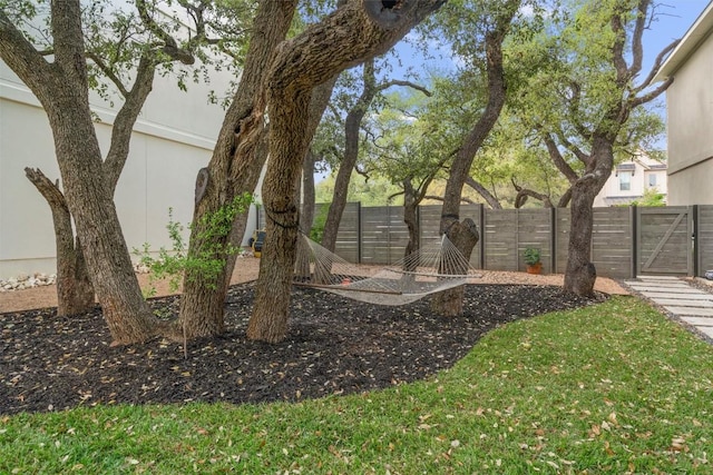 1213 Silver Dollar Trl, Georgetown, TX 78628 - view of yard with a gate